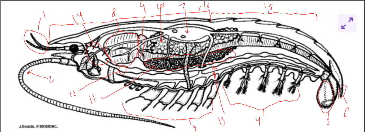 <p>1</p>