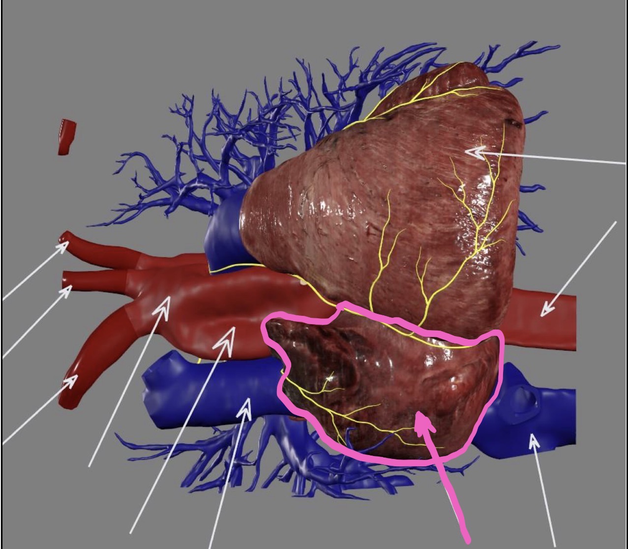 <p>What’s the highlighted area?</p>