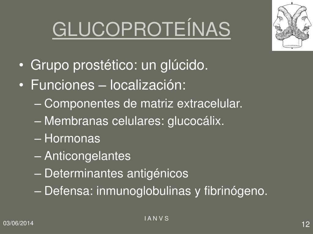 <p><strong>GLUCOPROTEÍNAS</strong></p>