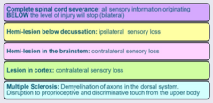 <p>Tiny muscle twitches caused by lower motor neuron damage.</p>