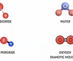 <p>B) H2O</p><p></p>