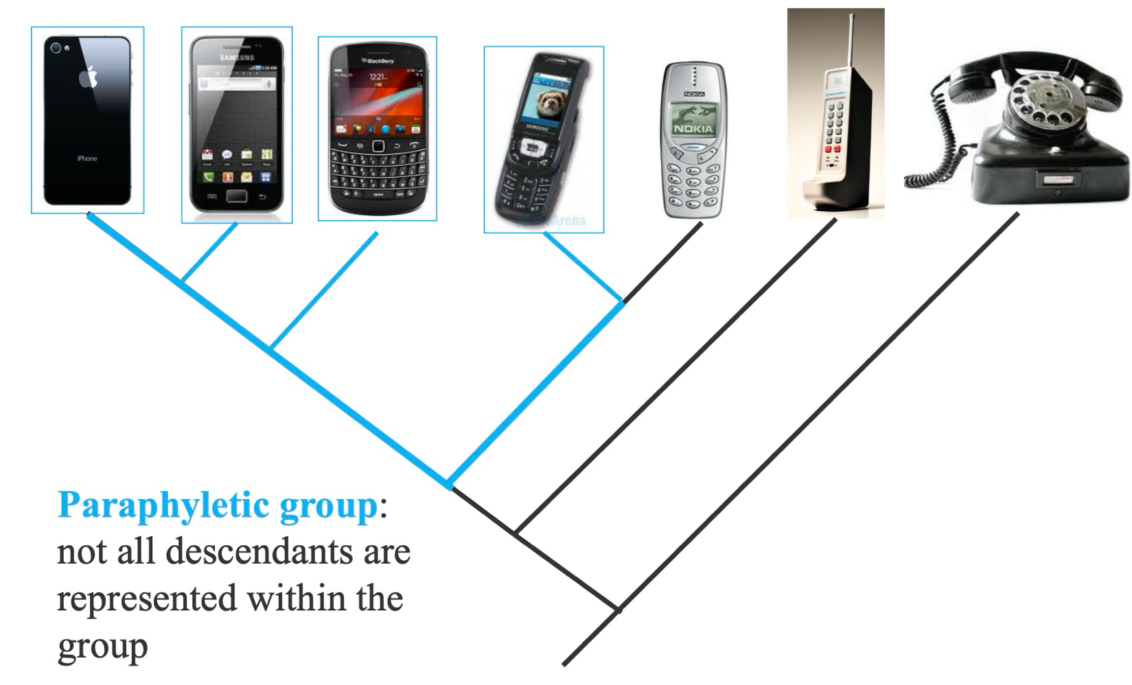 <ul><li><p>Not all decendants are represented within the group</p></li><li><p>Examples are reptiles. </p></li></ul><p></p>