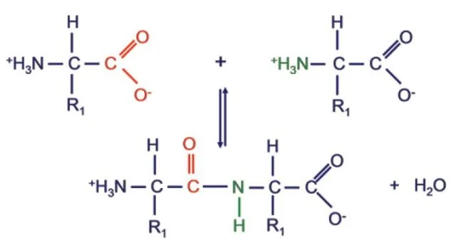 <p>Which of the main 4 macromolecules is this?</p>