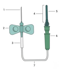 <p>4</p>