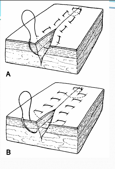 term image