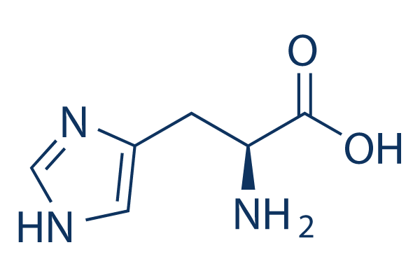 <p>What is this?</p>