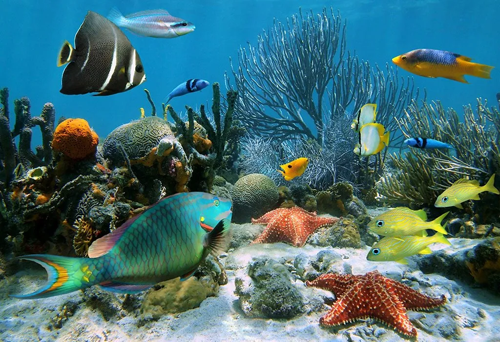 <p>aquatic (adj)</p>