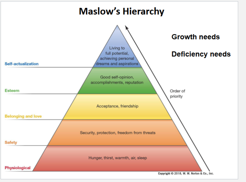 <ul><li><p>growth need: never satisfied (finding friendship, self-esteem)</p></li><li><p>deficiency needs: can be met and satisfied (hungry? eat)</p></li></ul><p></p>