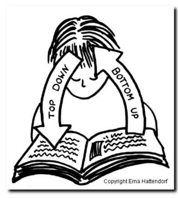 <p>Bottom-up-Verarbeitung: Information wird über Buchstaben udn Wörter über Sätze bis hin zum gesamten Text dekodiert. Dabei hat man einen informationen Input sowohl visuel als auch auditiv.</p><p class="has-focus is-empty">Top-Down-Verarbeitung: Verarbeitung auf der Grundlage von Zielen, Erwartungen und Strategien, Unter Verwendung des Wissens über die Welt, Schemata und Skripte.</p><p class="has-focus"></p><p class="has-focus is-empty">Arbeiten beide Prozesse zusammen, können Verständnisprobleme ausgeglichen werden.</p><p class="has-focus is-empty">(<strong>Grabe, 2009)</strong></p><p class="has-focus is-empty"></p>