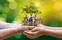 <p>wildlife conservation (n)</p>