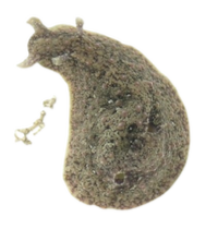 <p><strong>FILO <br>CLASE </strong><br><strong>SUBCLASE </strong><br><strong>INFRACLASE</strong><br><strong>ORDEN </strong><br><strong>FAMILIA </strong><br><strong>GÉNERO <br>CARACTERÍSTICAS </strong><br><strong>RÁDULA <br>ALIMENTACIÓN <br>HÁBITAT</strong></p>
