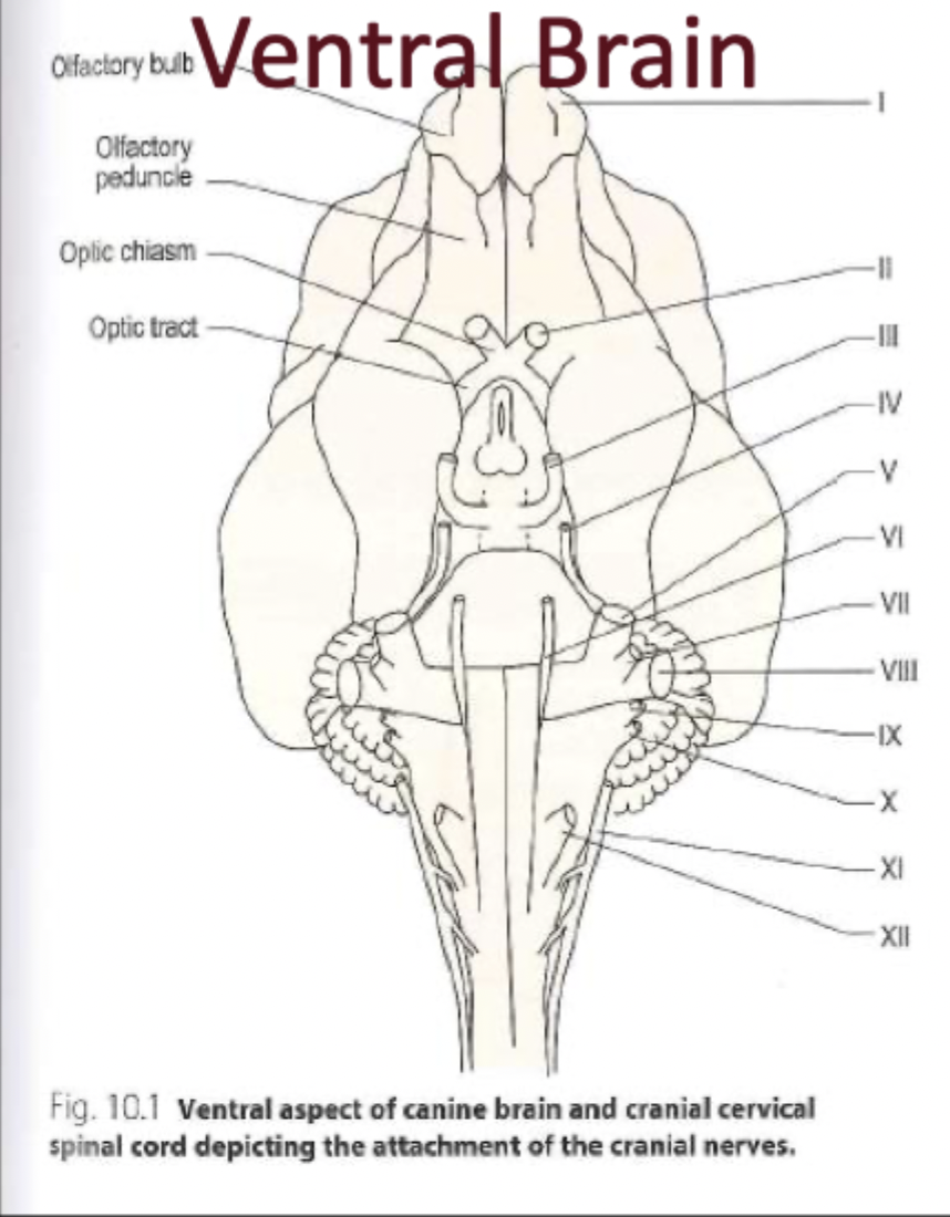<p>Study this</p>