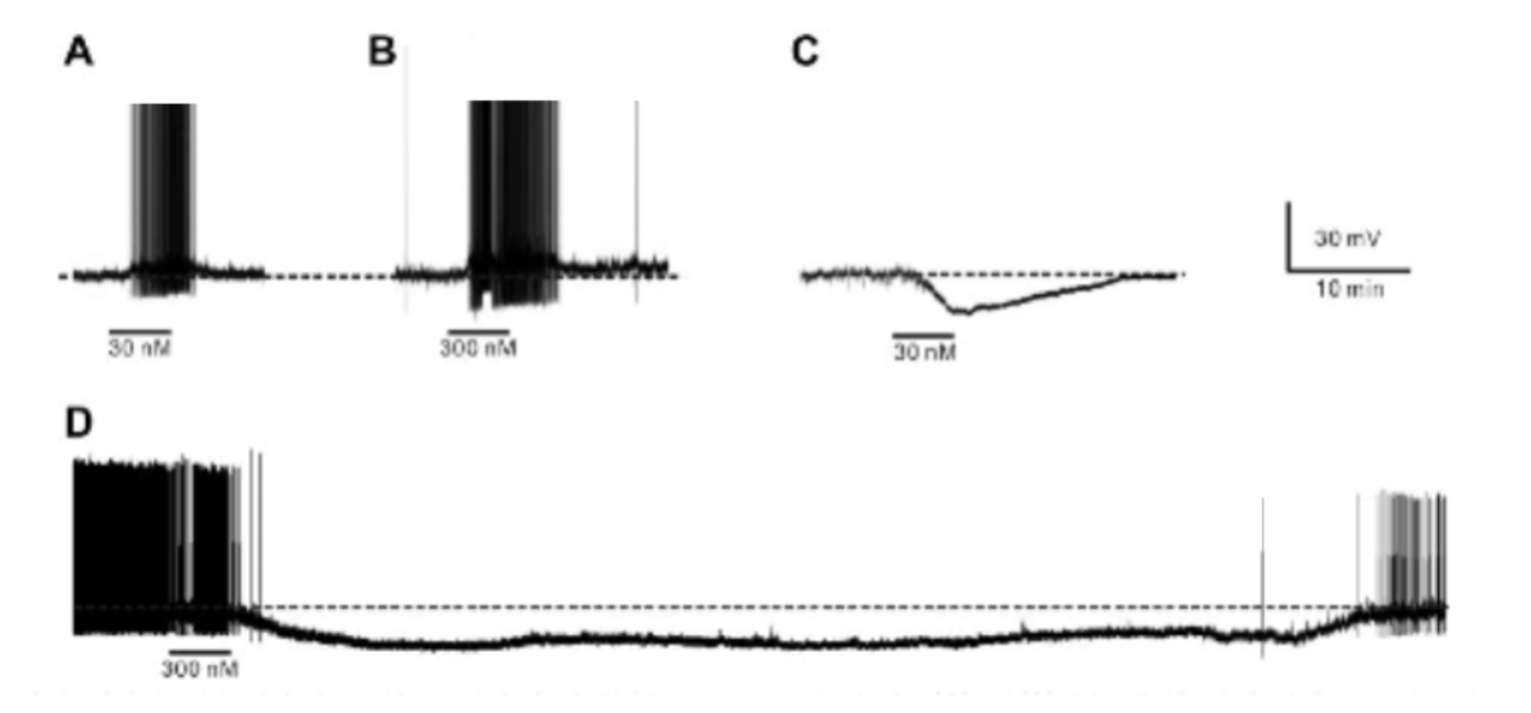 <p>Which tracings represent weight loss circuit neurons? (Depolarization/more action potentials)</p>
