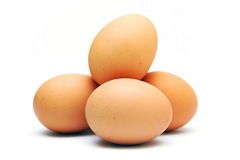 <p>Egg</p>