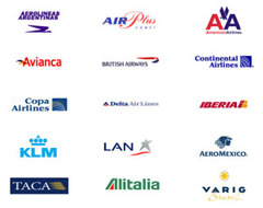 <p>airline</p>