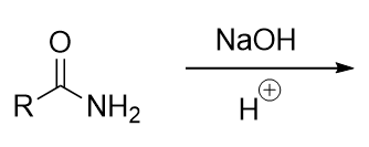 <p>mechanism</p>