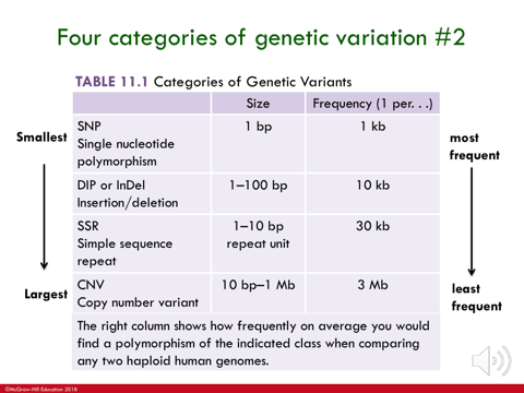 <p>affecting fewest # ——> affecting most # of DNA bases</p><p>fewer # of bases that it would affect = the more frequently it is to occur in the genome</p>