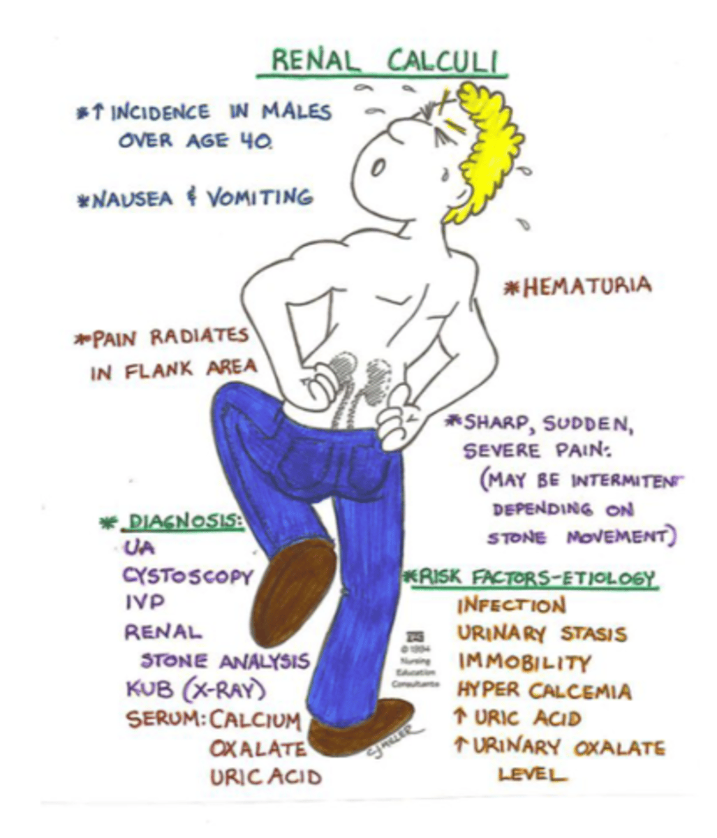 <p>A) Dehydration, hypercalcemia, and increased uric acid</p>