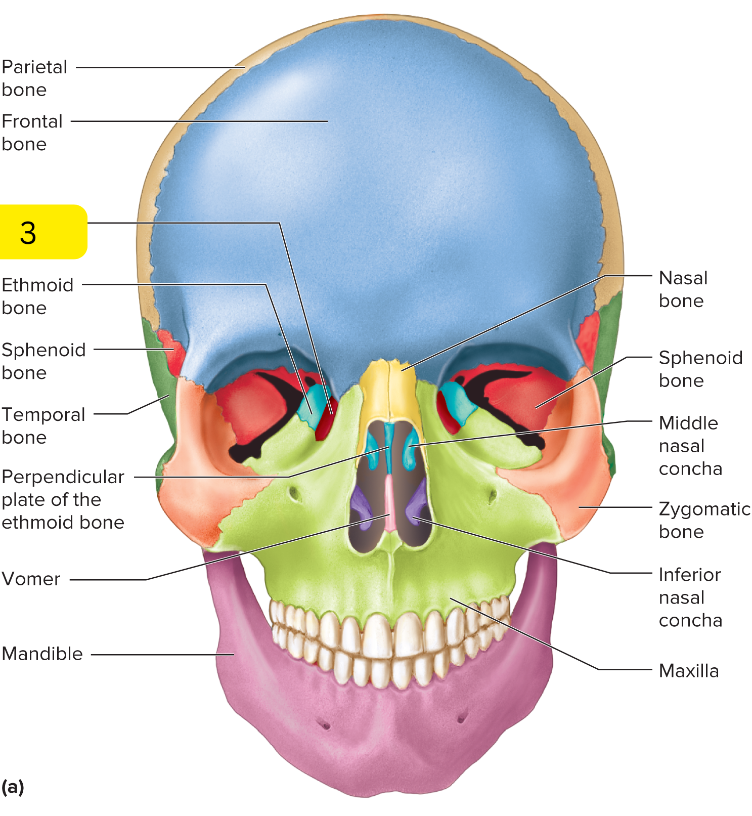 <p>What’s #3?</p>