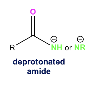 <p>deprotonated amide</p>