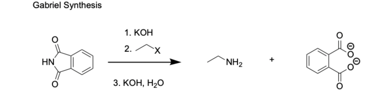<p>6) Gabriel Synthesis</p>