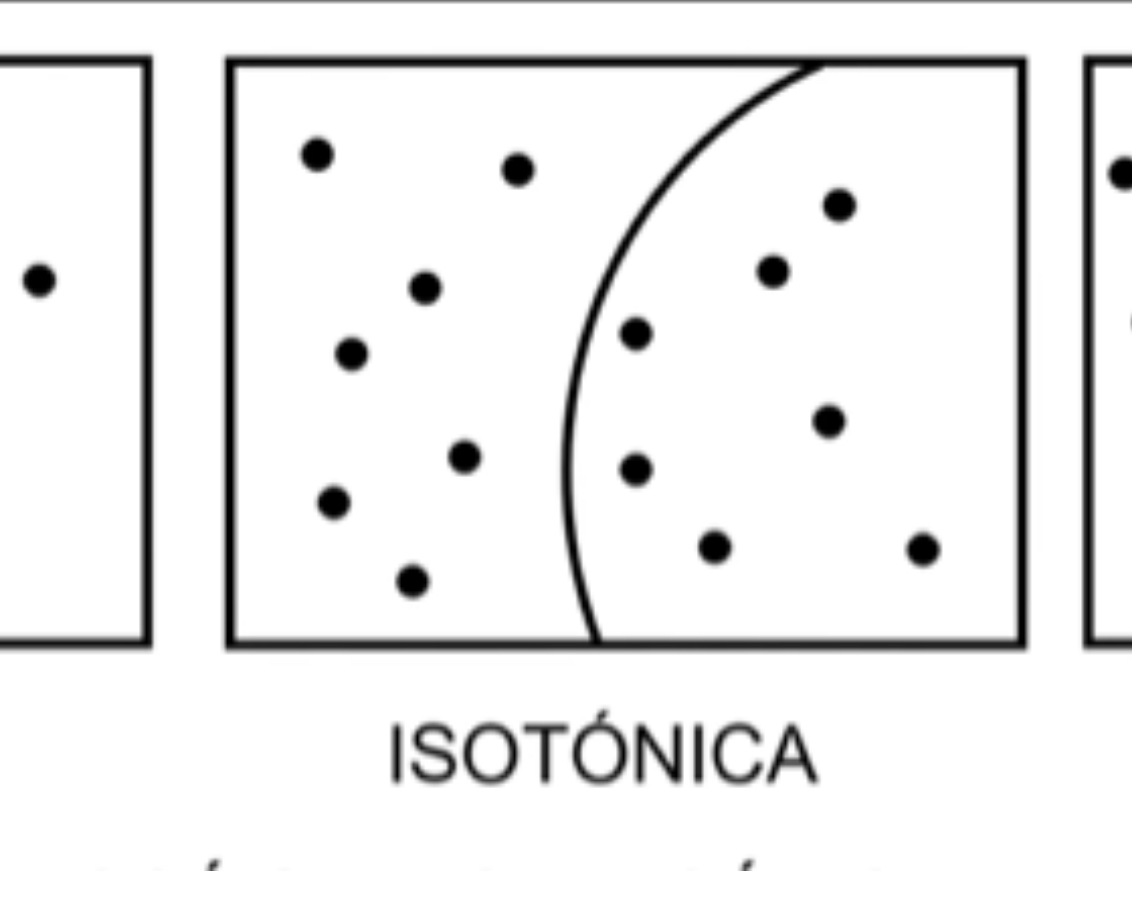 <p>¿Qué es una solución Isotónica?</p>