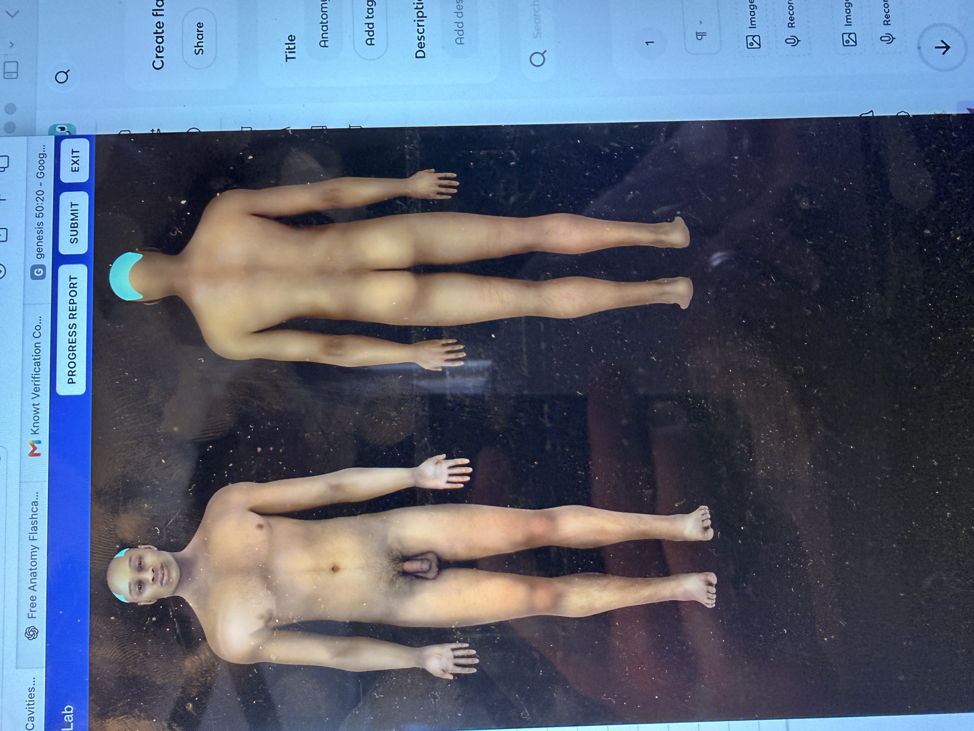 knowt flashcard image