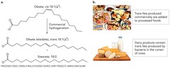 <p>Bombardment of hydrogen atoms onto a fatty acid to turn C=C bonds into C-C bonds for preservation (liquids spoil faster than solids)</p><p>May also result in trans C=C bonds that can lead to atherosclerosis (formation of plaque in blood vessels)</p>