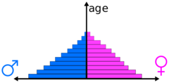 <p>A bar chart representing the distribution of population by age and sex.</p>