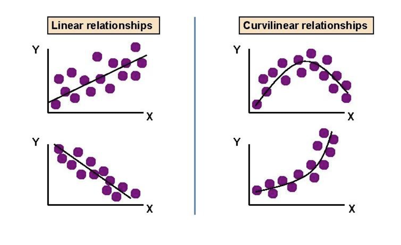 <p>Curvilinear relationships </p>