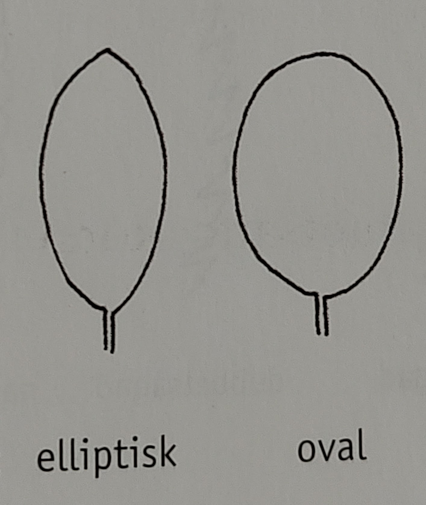 <p></p>