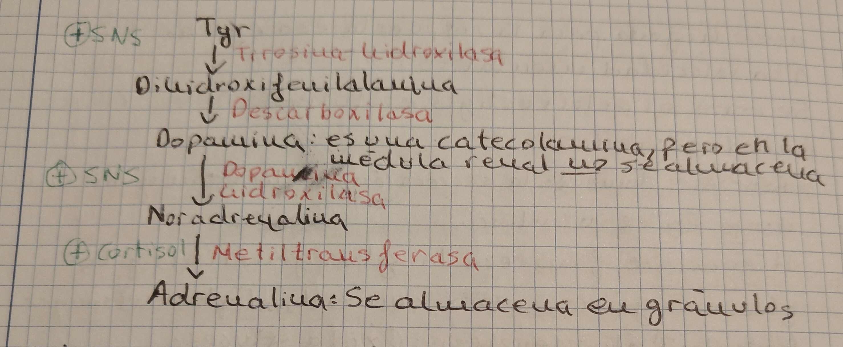 <p></p>