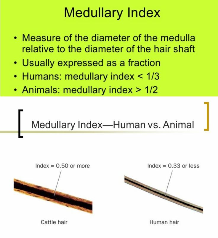 <p>Humans = 0.33 or less</p><p>Animals = 0.5 or greater </p>