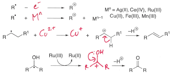 <p>An electron is removed from the radical, forming a cation. This cation then has a H+ removed, forming a neutral molecule.</p>