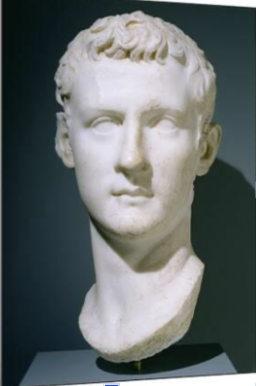 <ul><li><p><span style="background-color: transparent; font-family: "Times New Roman", serif;">Same haircut as Augustus, he actually didn’t have any hair</span></p></li><li><p><span style="background-color: transparent; font-family: "Times New Roman", serif;">Youthful appearance</span></p></li><li><p><span style="background-color: transparent; font-family: "Times New Roman", serif;">Inverted triangle jawline and other “appealing” facial features</span></p></li></ul><p></p>