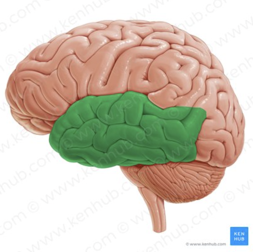 <p>What is highlighted?</p>