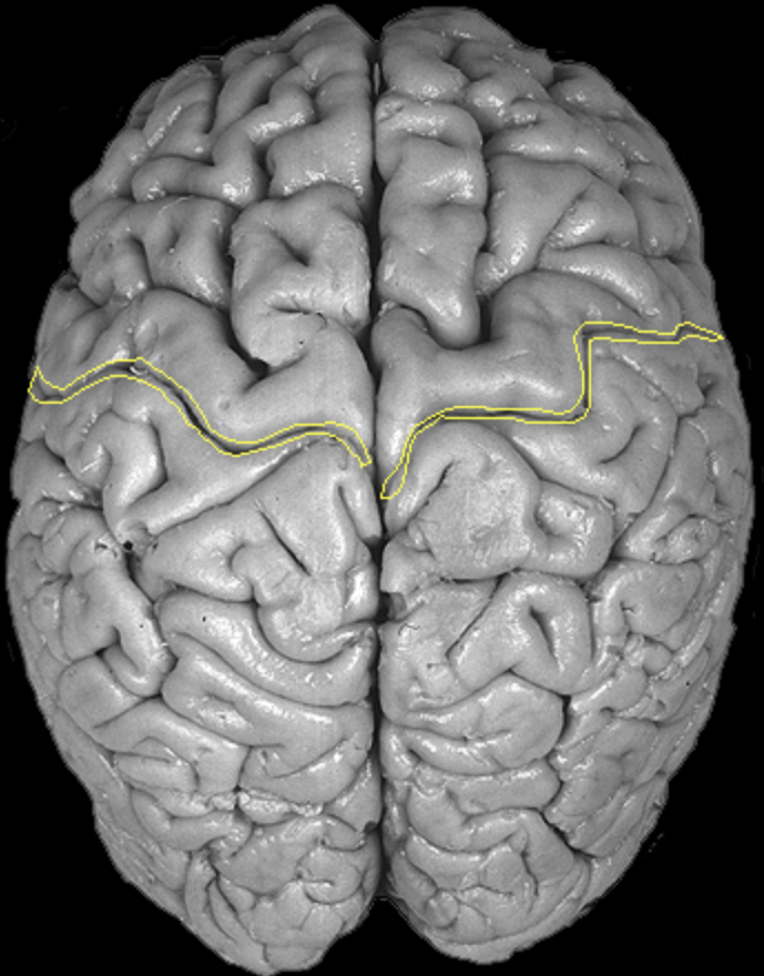 <p>What is the area highlighted called?</p>