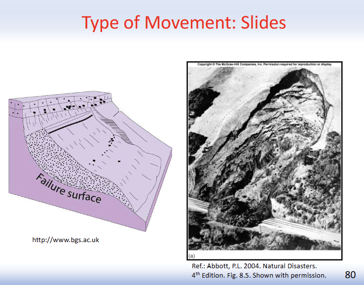 <p>Type of movement: Slides</p>
