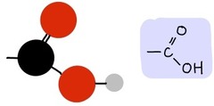 <p>(--COOH)</p><p>Carboxylic acids, or organic acids</p><p>very acidic</p><p>H atom can easily dissociate</p>