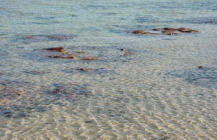 <p>deeper water, where wave energy does not stir the seafloor, finer sediment can accumulate and tend to be fine-grained, well-sorted, well-rounded silt, and they are inhabited by a great variety of organisms such as mollusks and worms</p><ul><li><p>beds of siltstone and mudstone containing marine fossils, you may be looking at shallow-marine clastic deposits</p></li></ul><p></p>
