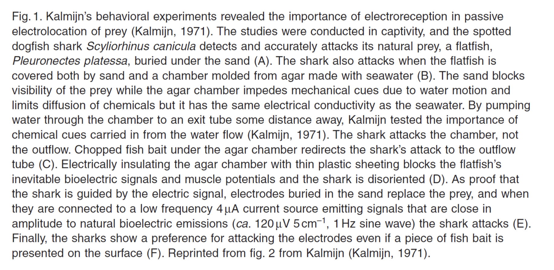 <p>Kalmijn, A. (1987) blurb</p>