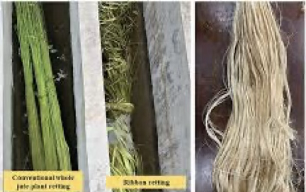 <p>Using microbes (often in water) to break down soft tissue around <strong>bast fibers</strong></p>