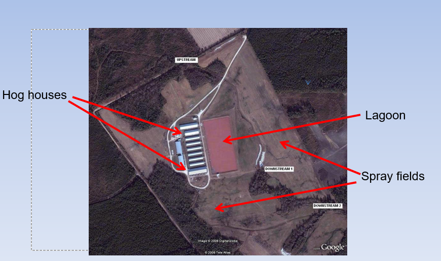 <p>- Hog houses: give hog shelter</p><p>- lagoon: where all animal waste is held; solids settle and liquid waste is at the surface</p><p>- spray fields: liquid waste is sprayed on fields as a fertilizer; usually growing hay or Bermuda grass as it can uptake a lot of nutrients (N,P, and water)</p><p></p>