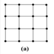 <p>What type of ecosystem network is this?</p>