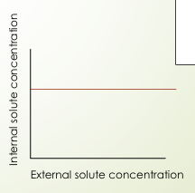<p>Keeps internal osmolarity constant</p><p></p>