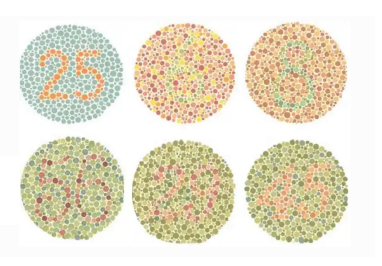 <ul><li><p>Bring out a test packet and ask pt to identify numbers and patterns within the circles</p><p></p></li><li><p>Pt can identify numbers verbally and/or identify with a finger.</p><p></p></li><li><p>Certain number combinations will help identify different kinds of color blindness</p></li></ul><p></p>