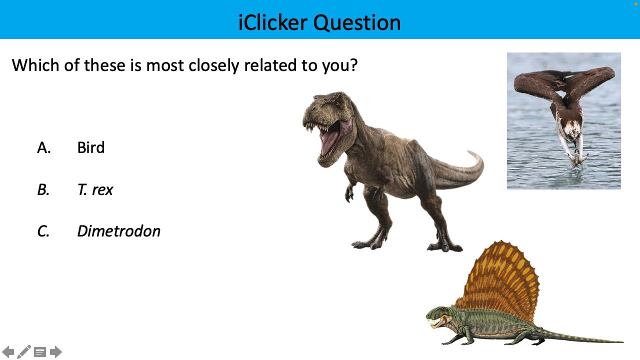 <p>Which of these is most closely related to you?</p>