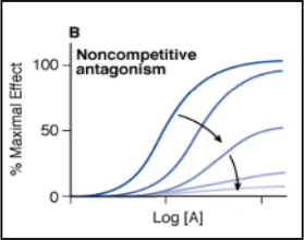 <p>Non-competitive antagonists </p>