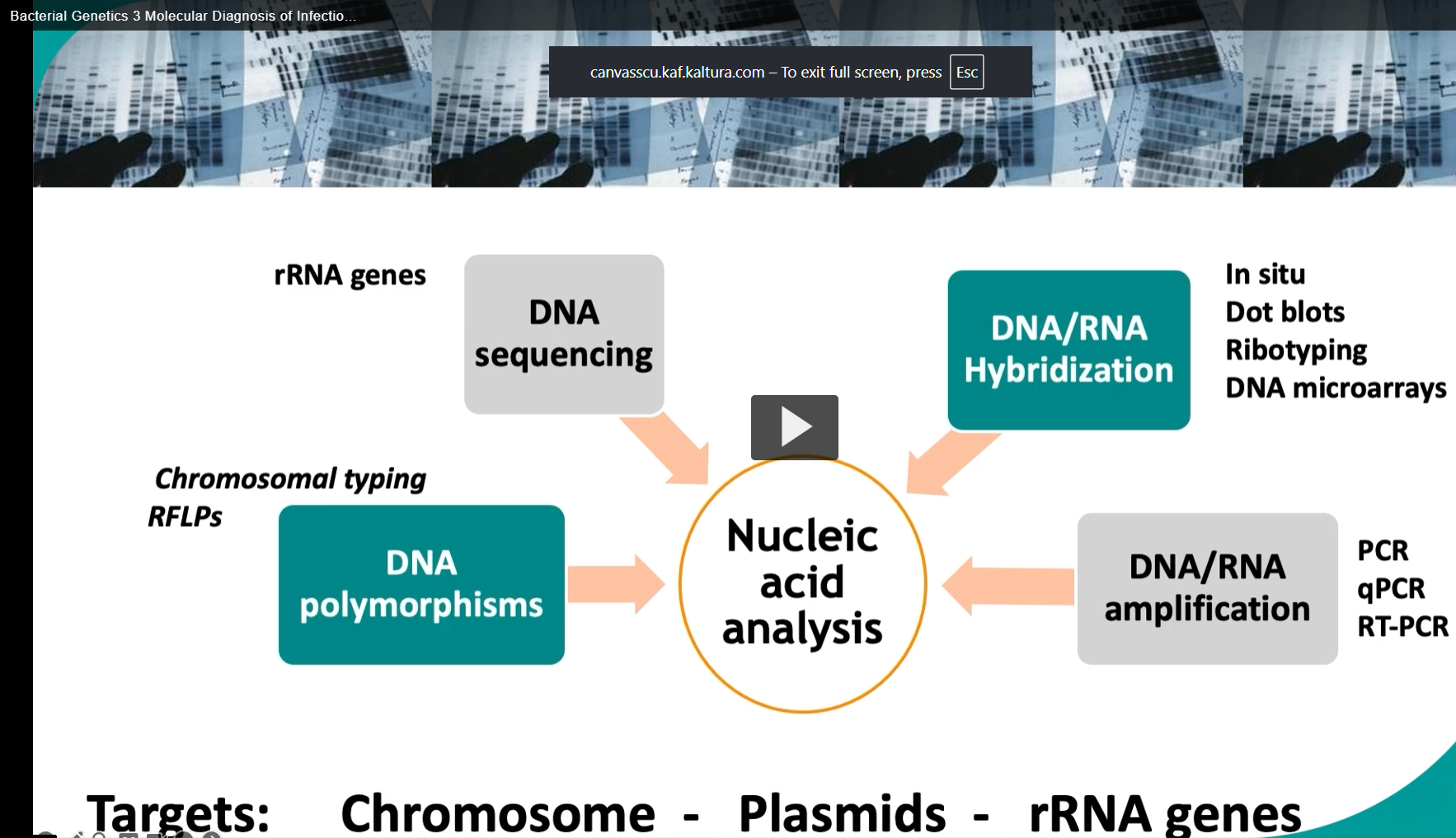 <p>Genotype based tests that analyze DNA or RNA overcome traditional diagnostic limitations by identifying microbial pathogens through genetic variations using methods like restriction fragment length, polymorphism, RFLP, and specific hybridization probes. </p><p>DNA sequencing, especially of the 60S ribosomal RNA genes, offers precise organism identification. </p><p>For samples with low nucleic acid levels, amplification techniques like PCR or RT PCR boost sensitivity and specificity, enabling the detection of minute quantities of genetic material. Potential targets for these techniques include genomic DNA of the bacterial chromosome, plasmids, such as R factors, and ribosomal RNA genes </p><p>By exploiting the unique characteristics of these genetic materials, laboratory professionals can accurately identify microorganisms, understand their resistance mechanisms, and guide the appropriate treatment strategies. </p>