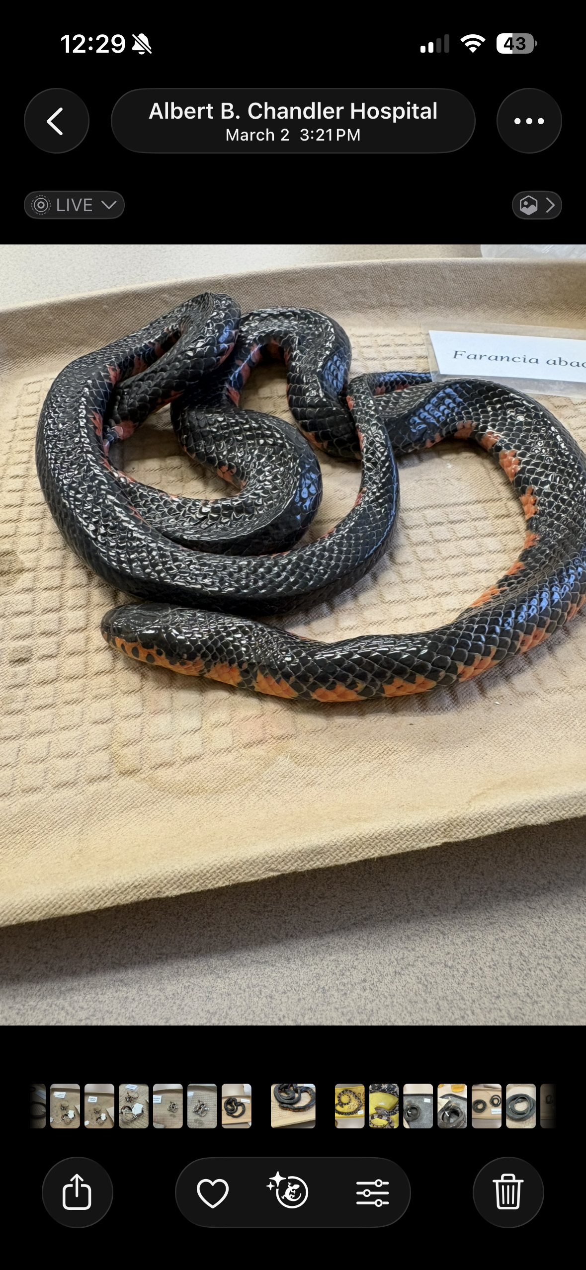 knowt flashcard image